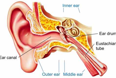 How to level ear